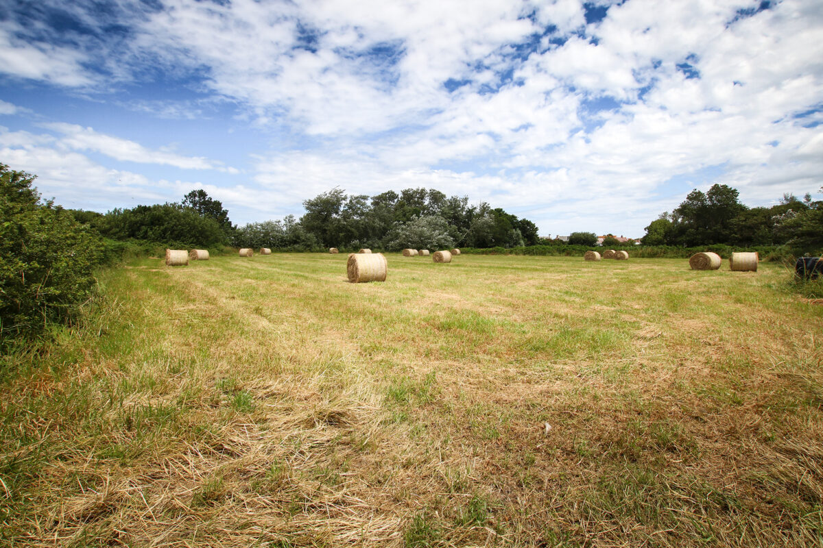 Field at Rue A Ronces