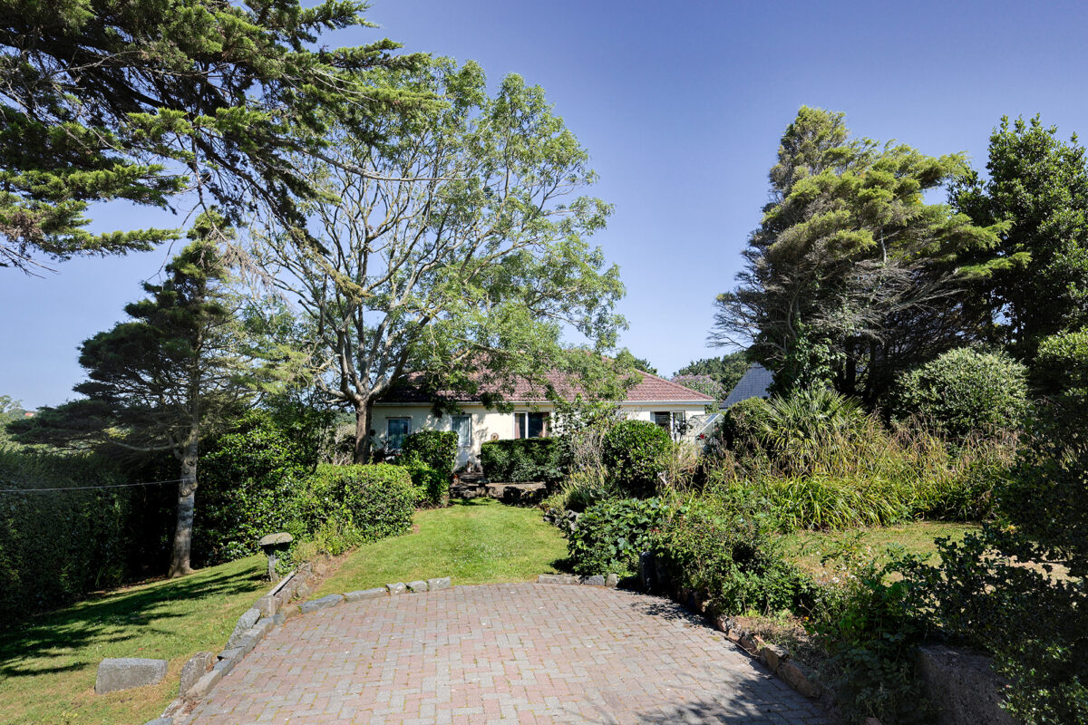 Davana Vista