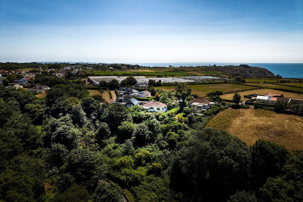Davana Vista